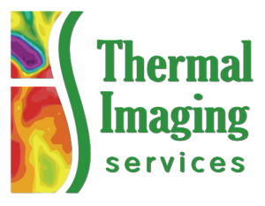 Main Logo - Thermal Imaging Texas - Angel Marlow - Houston, TX - Thermography - Holistic Health - Disease Prevention